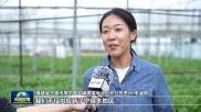 靠山吃山 靠海吃海！福建践行大食物观 30年“从缺到富”