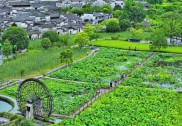 安徽黟县：夏日古村乐游人