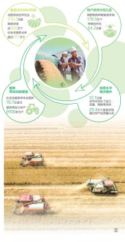 一粒小麦的“产业链之旅”（“三夏”一线探新迹）