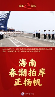 改革近镜头丨海南，春潮拍岸正扬帆