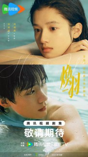 电视剧《焕羽》首发预告 张婧仪周翊然携手谱写青春治愈之旅