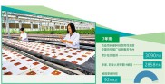 数字化新农具显威力