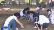 研学游成暑期“新顶流” 如何不止于“到此一游”?