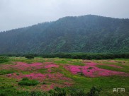 香格里拉普达措：生态先行惠民生
