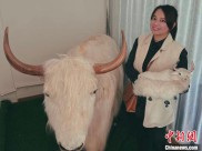 一天体验四季，随手拍都是写真