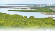 加强海洋国际合作 共同守护蓝色家园