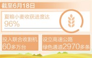 夏粮小麦收获进度达96%